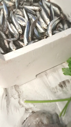 Via Francesco Valesio, 00179 Roma RM