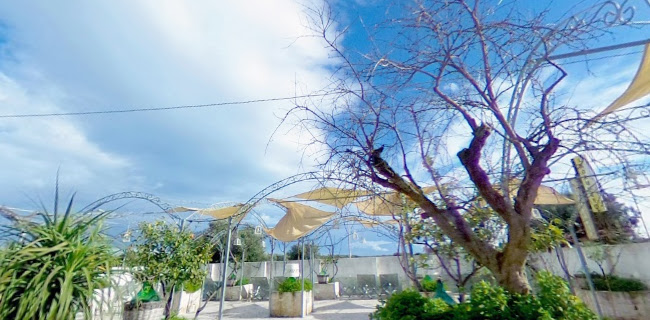 Opinii despre Ristorante l'Agrumeto în Fasano - Ristorazione