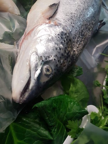 Via Francesco Valesio, 00179 Roma RM