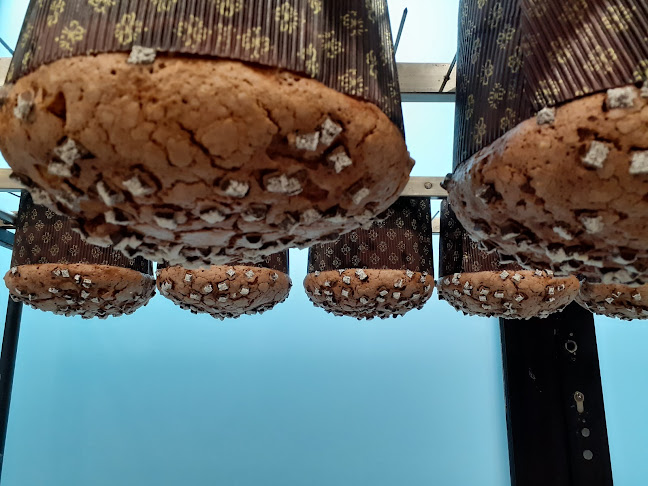 Lo Sfornaio - Fabriano