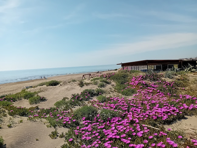 La spiaggia - Ristorazione