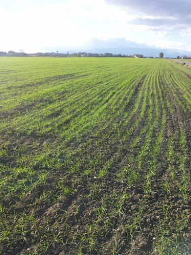 Sorelle Salerno - Ristorazione