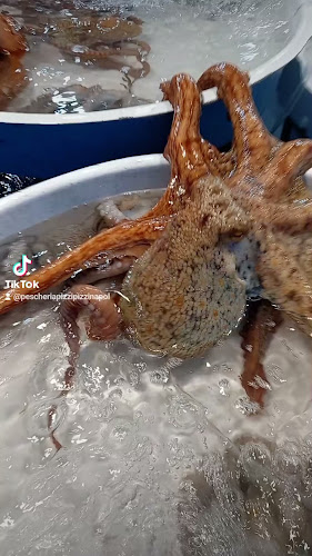 Pescheria Pizzi Pizzi di D'Anna Vincenzo - Napoli