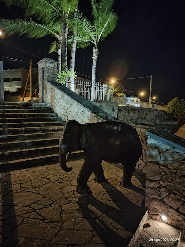 Pizzeria Coco Jambo Open Times