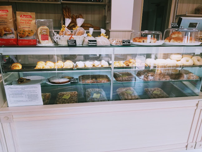 Oltrepane Open Times