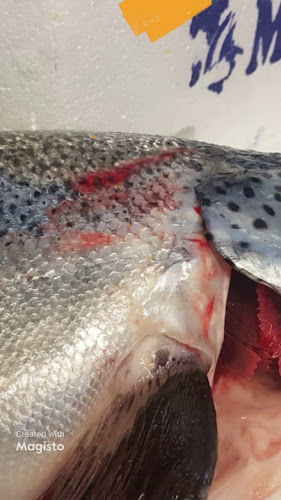 Opinii despre La pescheria di Sabrina e Stefano în Roma - Ristorazione