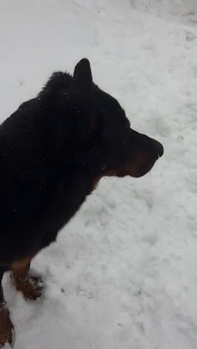 La Brocca - Ristorazione