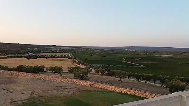 Opinii despre Azienda Agricola Amastuola ss în Crispiano - Ristorazione