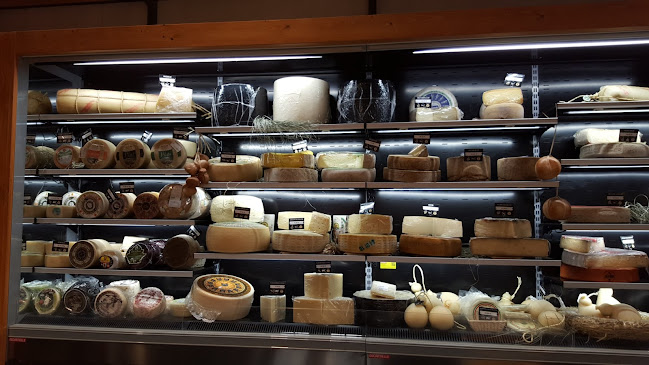 Via Paolo Canali, 8, 40127 Bologna BO