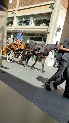 Via Santa Maria, 127, 56126 Pisa PI