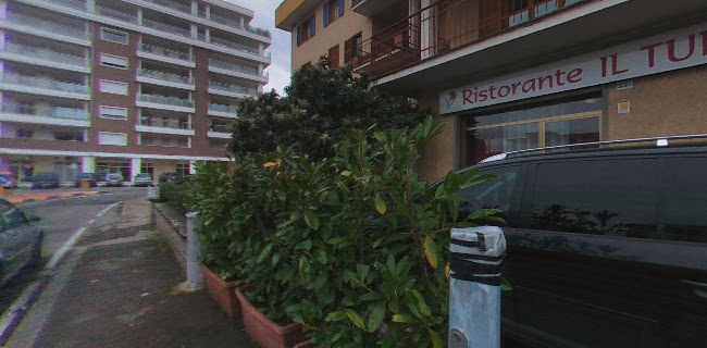 Ristorante Il Tulipano - Viterbo