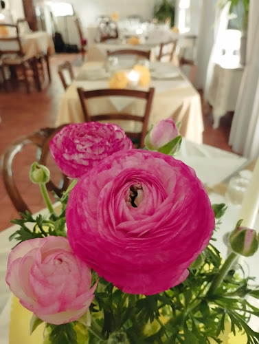 Opinii despre L'insolito Posto în Bellaria-Igea Marina - Ristorazione