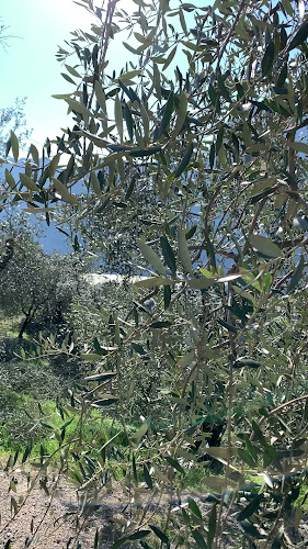 Comments and reviews of Ristorante la Colombera