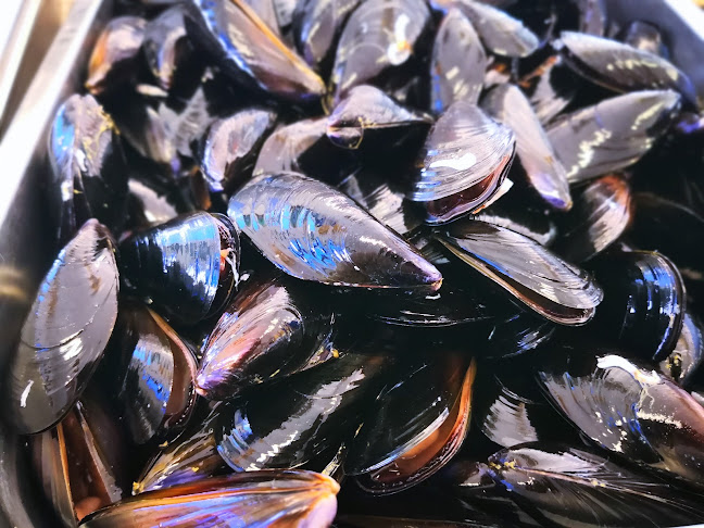 Via Plaja, 91014 Castellammare del Golfo TP