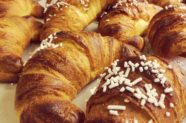 Via Vittorio Asinari di Bernezzo, 48, 10146 Torino TO