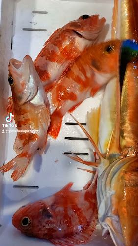 Comentarii opinii despre Pescheria Pizzi Pizzi di D'Anna Vincenzo