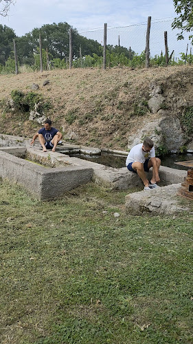 Il Babbà - Vetralla