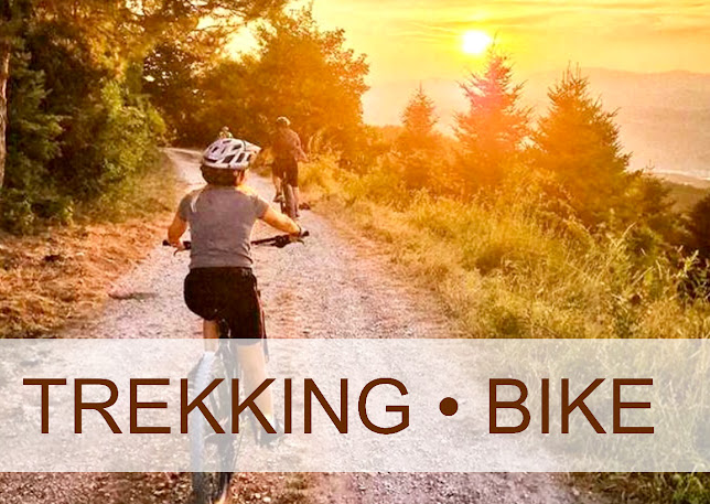 Hotel Ristorante La Ginestra - Gola del Furlo - Ristorazione