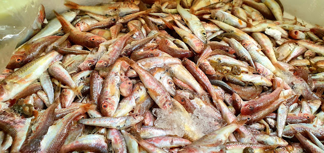 Ristorante Alessandro - Chianciano Terme