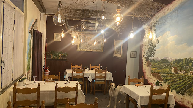 Comments and reviews of Trattoria della Ripa