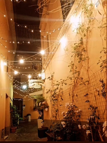 Comments and reviews of Il Brillo Parlante