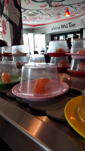 Opinii despre Hanami Asian Fusion în Ferrara - Ristorazione