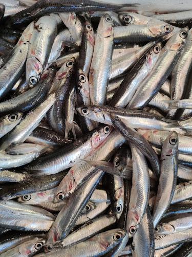 Comentarii opinii despre La pescheria di Sabrina e Stefano