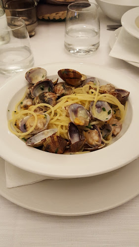 Via Firenze, 14, 55049 Viareggio LU