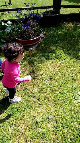 Opinii despre Ristorante La Sorgente în Maenza - Ristorazione