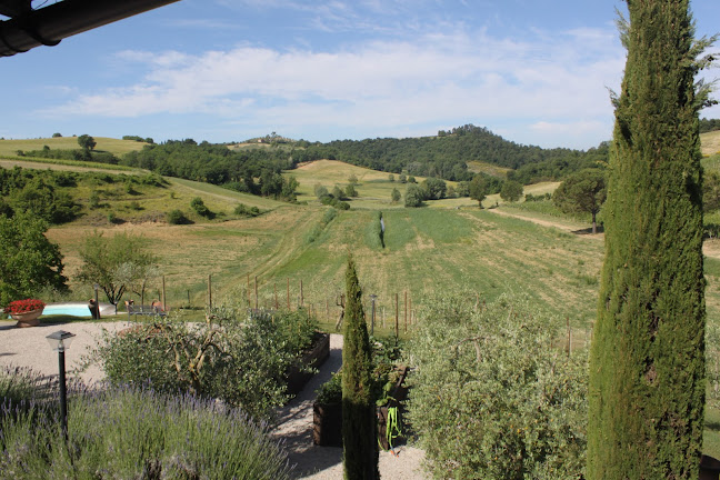 Opinii despre Tenimenti Andreucci-Az Vitivinicola Il Chicco di Andreucci Flavio în Pienza - Ristorazione