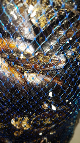 La pescheria di Sabrina e Stefano