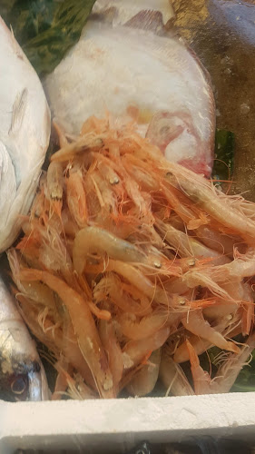 Comentarii opinii despre La pescheria di Sabrina e Stefano