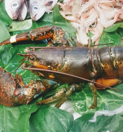 La pescheria di Sabrina e Stefano