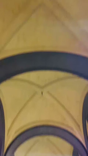 Opinii despre Ristorante Vitto Pitagorico (Vegan-Vegetariano-Gluten Free) în Napoli - Ristorazione