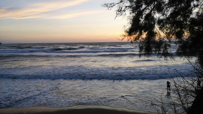 al Polpo Marino - Piombino