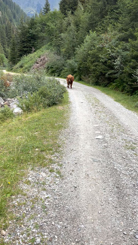 Baita Martalm - Ristorazione
