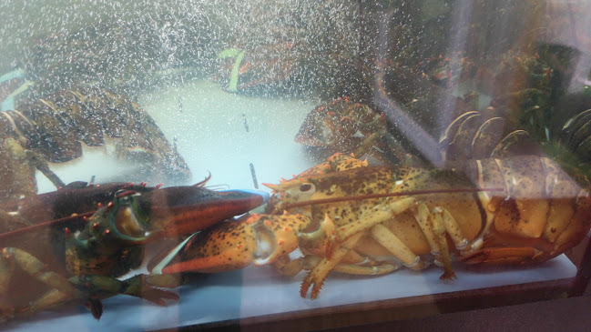 Il Re Di Napoli - Ristorazione