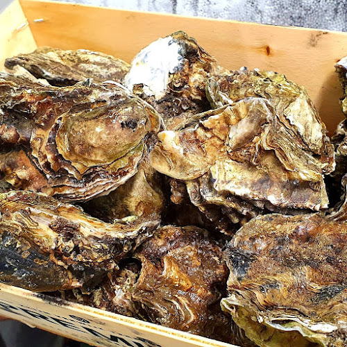 Comentarii opinii despre Ristorante Alessandro