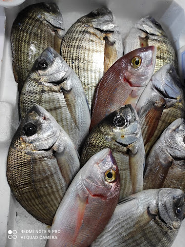 Via Vittorio Veneto, 23, 73013 Noha LE