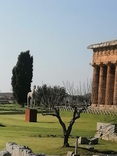 Ristorante Simposium - Ristorazione