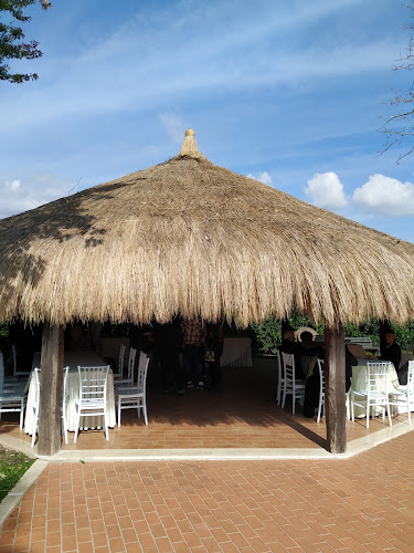 Comentarii opinii despre Ristorante L'Oasi