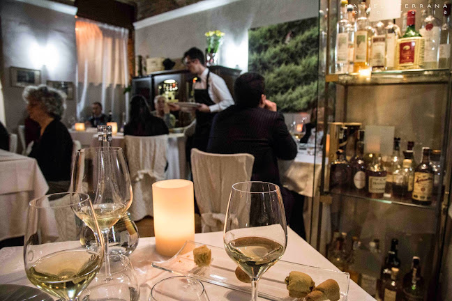 Reviews of Piccolo Lord in Torino - Ristorazione