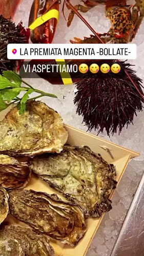 Opinii despre La Premiata Magenta în Bollate - Ristorazione