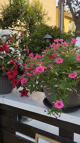 L'insolito Posto - Ristorazione