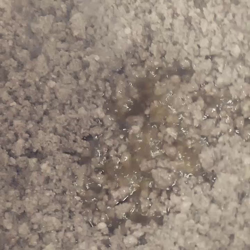 Opinii despre Ristorante Pizzeria Taverna San Nicolò în Montecassiano - Ristorazione