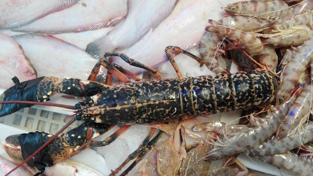 Reviews of Pescheria Simone di Barboni Carlo in Ancona - Ristorazione