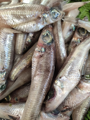 La pescheria di Sabrina e Stefano