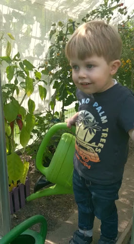 Comentarii opinii despre U Giancu