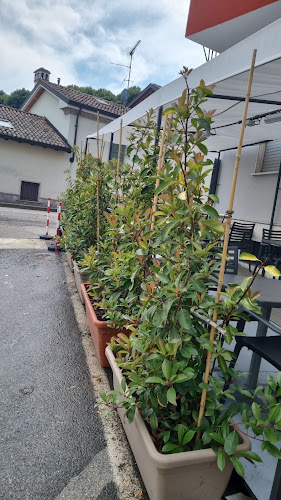 Comentarii opinii despre Samarcanda da Nu '