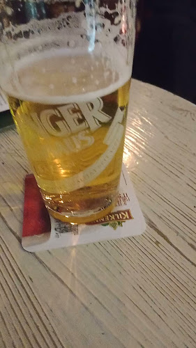 Opinii despre The Florence Irish Pub în Firenze - Ristorazione